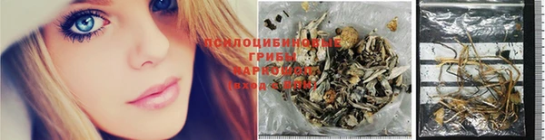 крисы Горнозаводск