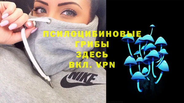 крисы Горнозаводск