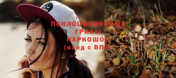 мдма Горняк