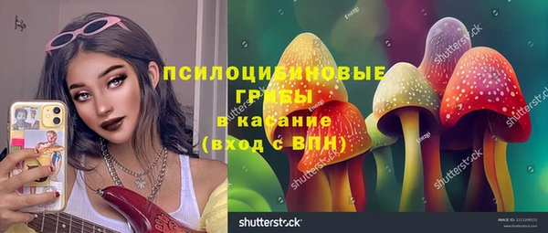 сатива Гусев