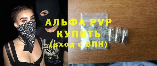 сатива Гусев