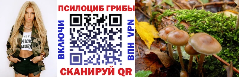 Псилоцибиновые грибы GOLDEN TEACHER  Купить где  Новосокольники 