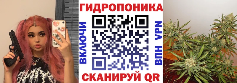Конопля AK-47  Купить  Новосокольники 